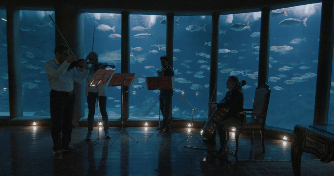 O grupo instrumental S. XX toca no Nautilus do Aquarium Finisterrae, A Coruña.