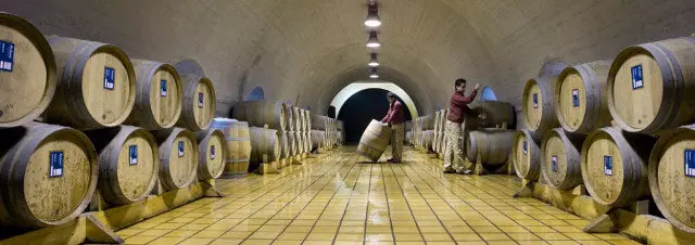bodegas martin c&oacute;dax