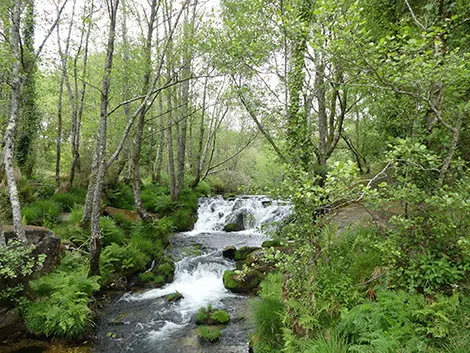 couto da eirexi&ntilde;a