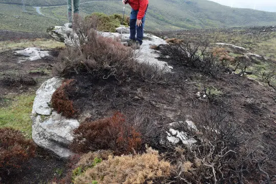 petr&oacute;glifo xistral mari&ntilde;a adega