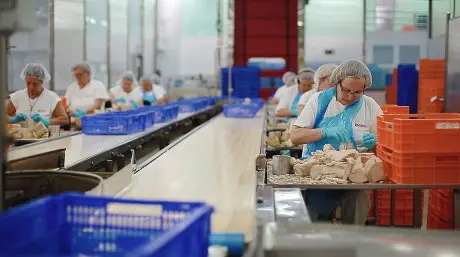 Traballadoras nunha f&aacute;brica de conservas (Imaxe: Jealsa)
