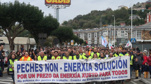 Manifestación en Viveiro en respaldo ao persoal de Alcoa-San_Cibrao (Europa Press)