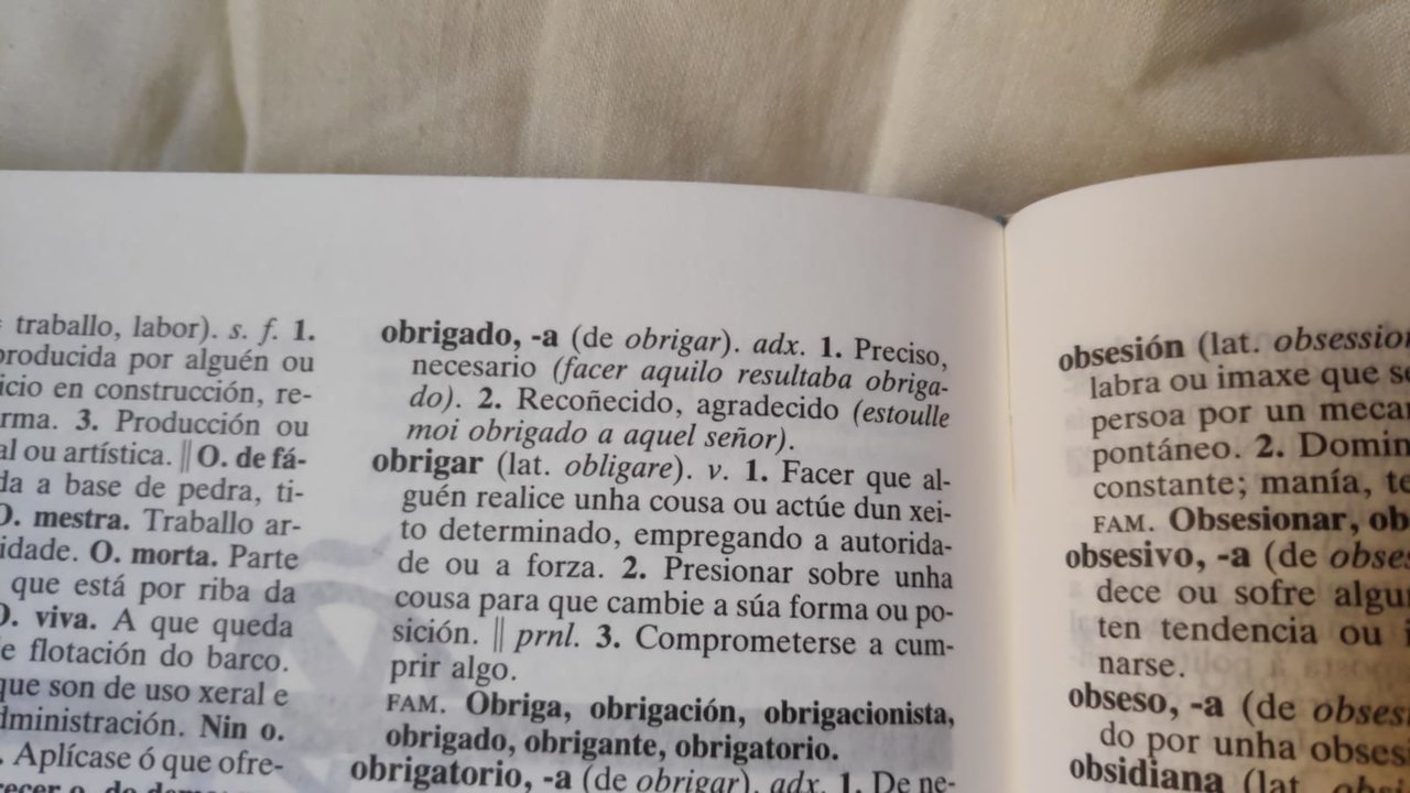 Dicionario Xerais do ano 2000 (Marcos Miguens)