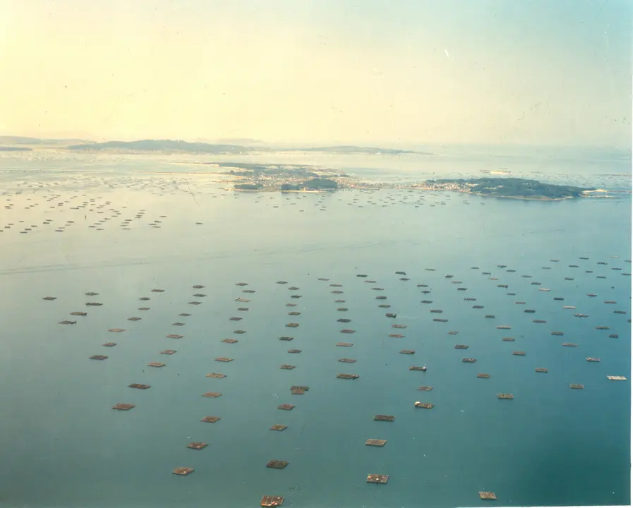 rIA DE aROUSA BATEAS RIAS MAR (Xunta)