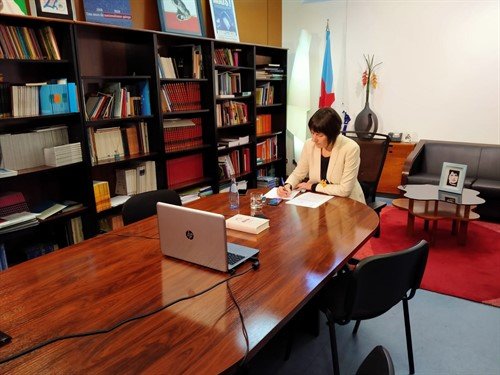 Ana Pontón durante unha reunión por videoconferencia (BNG).