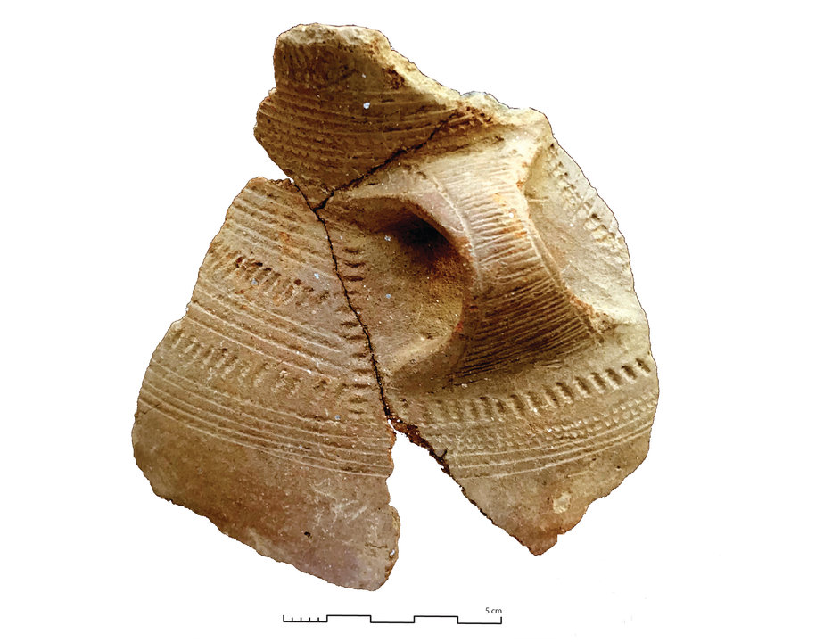 Restos dun vaso do neolítico atopado na Cova de Eirós (USC).