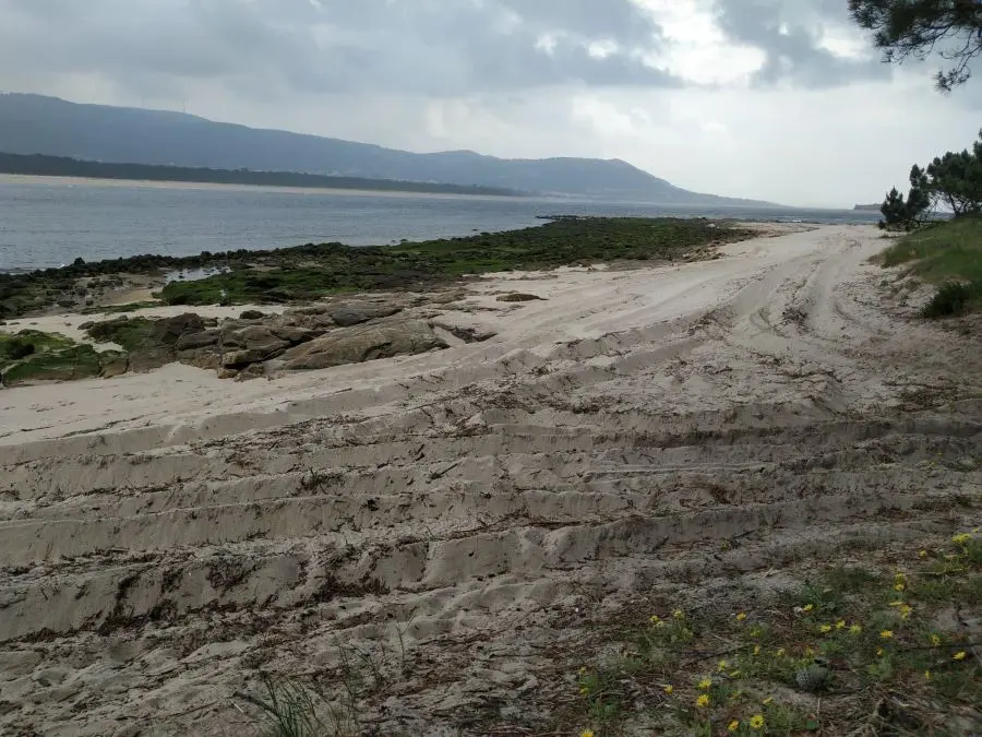 Imaxe do paso de maquinaria pola praia de Camposantos o pasado domingo, na Guarda, espazo de nidificaci&oacute;n da p&iacute;llara das dunas (Imaxe: Anabam).