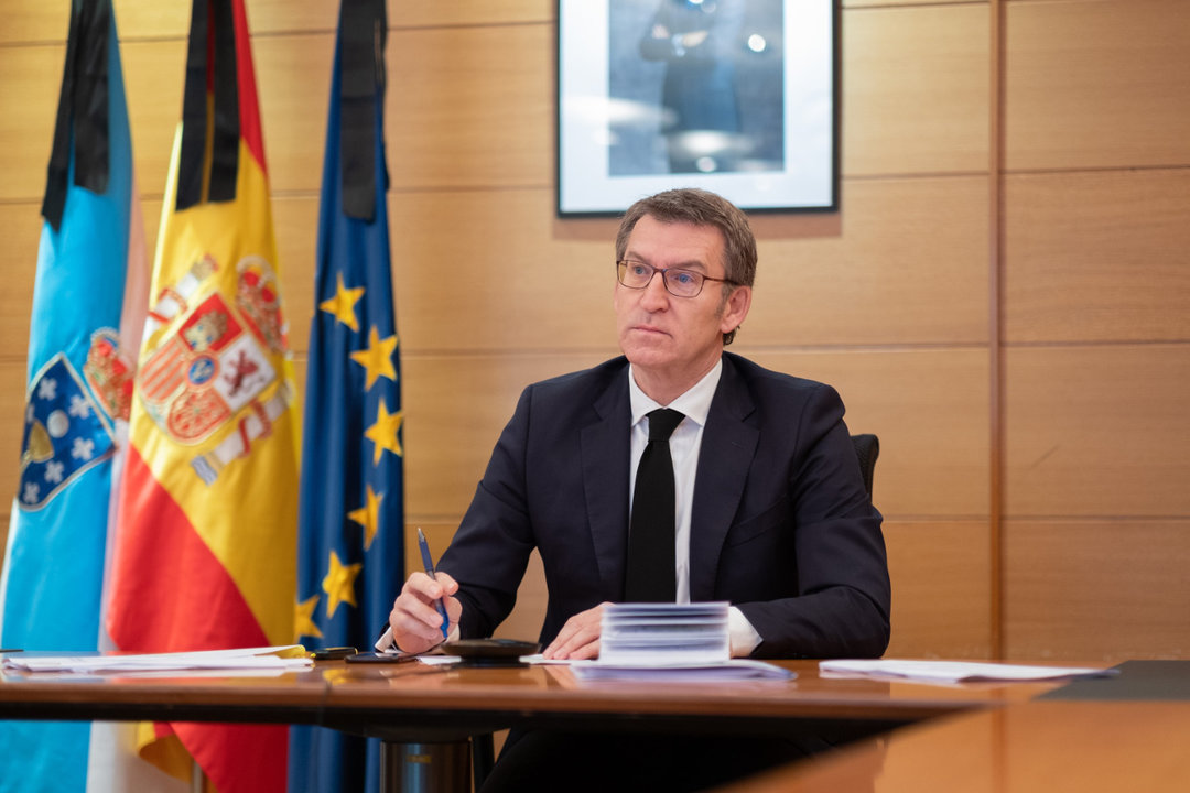 O titular do Goberno galego na videoconferencia co presidente do Goberno español (Europa Press)
