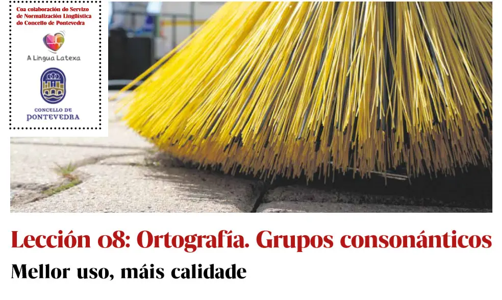 lecci&oacute;n 8 curso galego