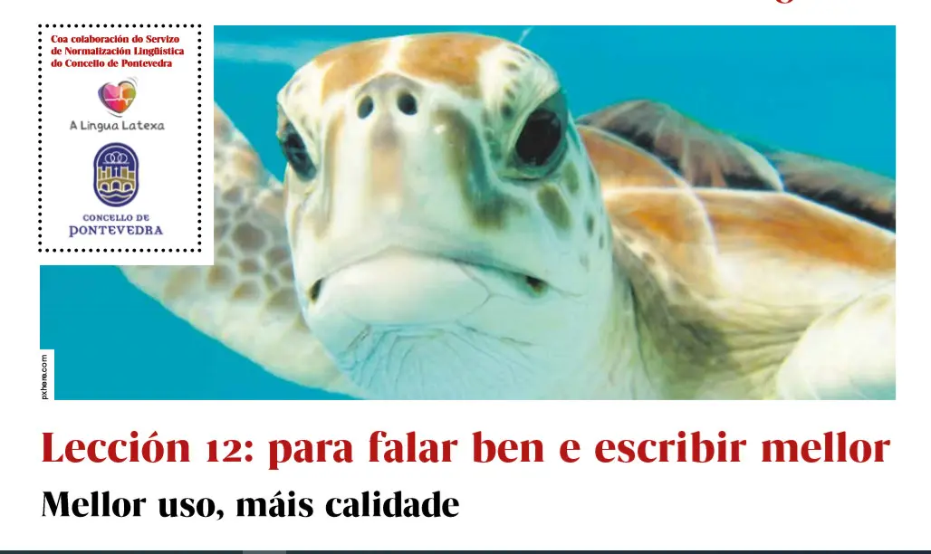lecci&oacute;n 12