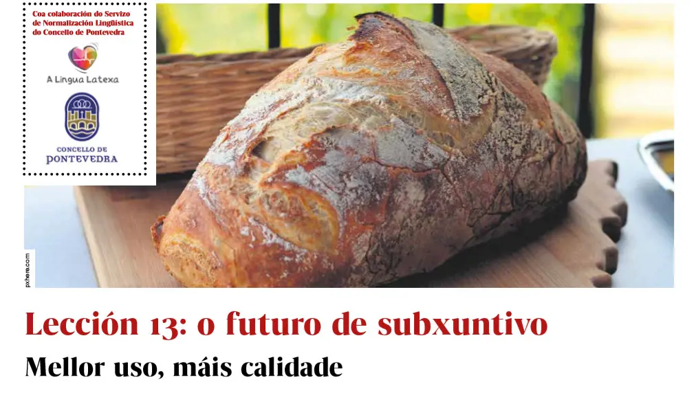 Lecci&oacute;n 13