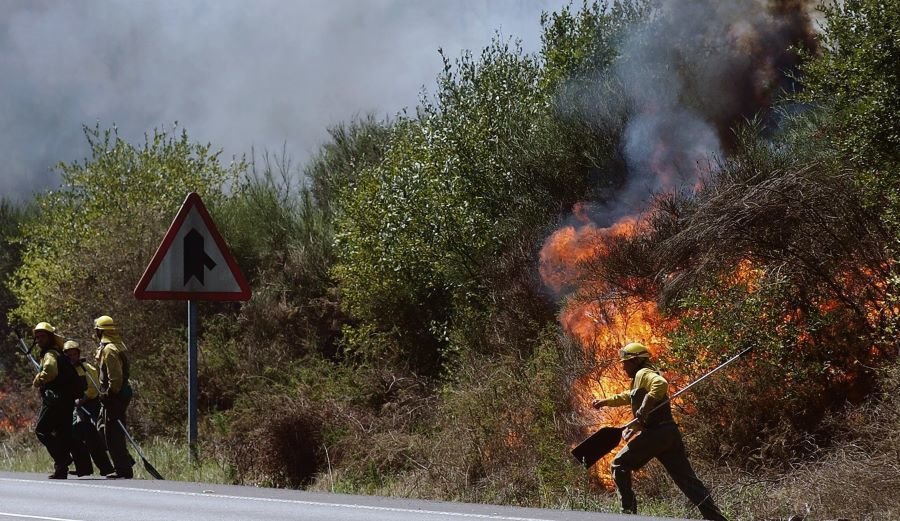 En 2017 a vaga de lumes deixou 67.000 hectáreas de terreo queimado (Imaxe: Europa Press)
