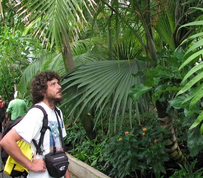 Gaspar Bern&aacute;rdez, enxe&ntilde;eiro forestal, investigador e coautor do Cat&aacute;logo galego de &aacute;rbores senlleiras (Imaxe: USC).