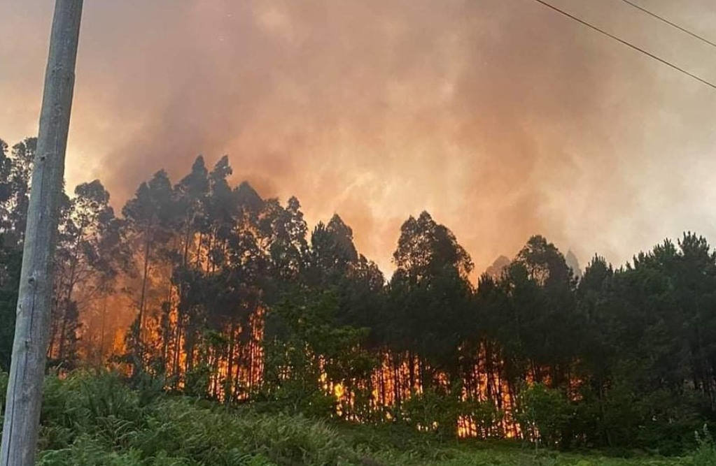 Incendio en Laraño en Santiago de Compostela en xullo de 2020. (Foto: @Batallont15).