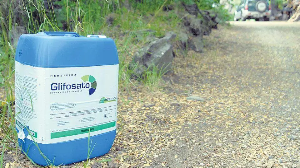 Glifosato.
