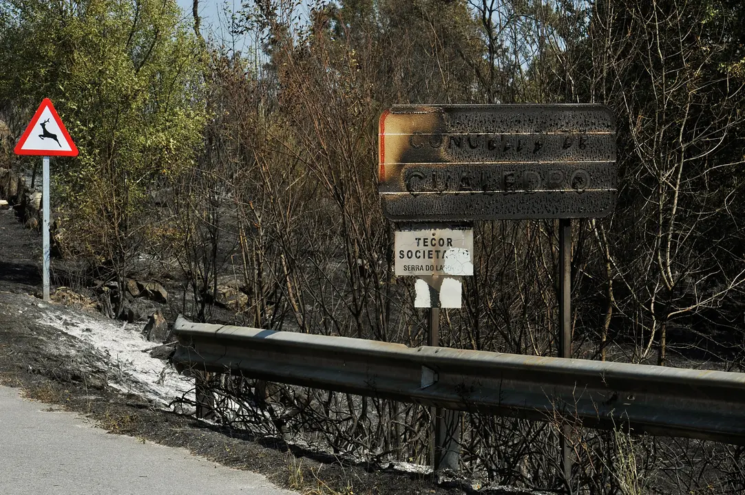 EuropaPress_3256293_cartel_quemado_incendio_cualedro_ourense_sigue_control_inicio_miercoles