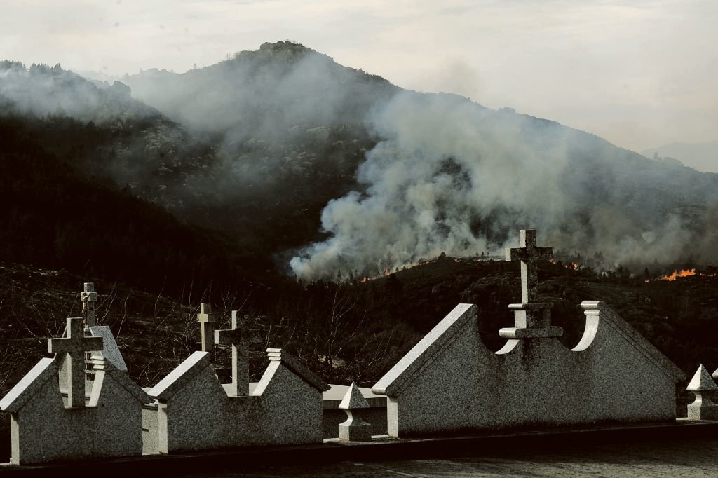 Os incendios de 2017 arrasaron case 9.000 hectáreas dos espazos protexidos do Xurés e de Ancares (Imaxe: Rosa Veiga).