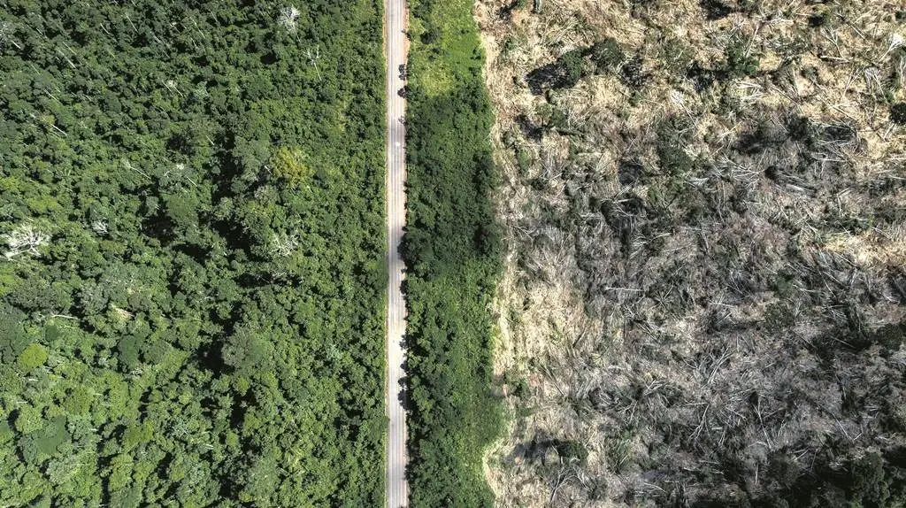 Tierra deroestada en Amazonia

Tierra deroestada en Amazonia

  (Foto de ARCHIVO)

18/11/2019