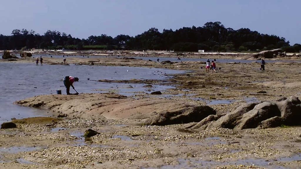 Mariscadoras e bañistas na praia do Bao na Illa de Arousa (Riobó Prada)