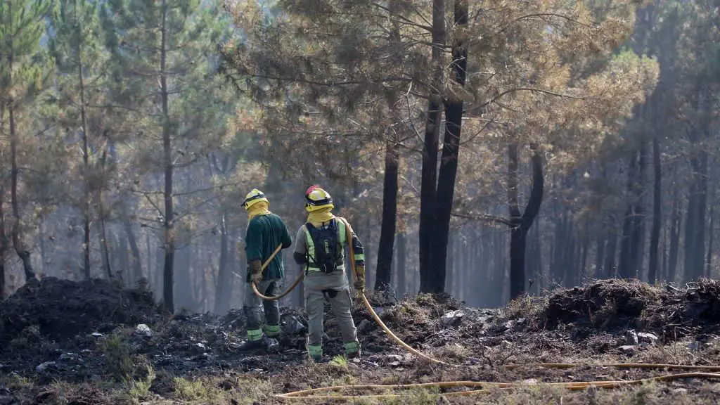 EuropaPress_3267442_dos_bomberos_brigadas_antiincendios_xunta_galicia_trabajan_labores