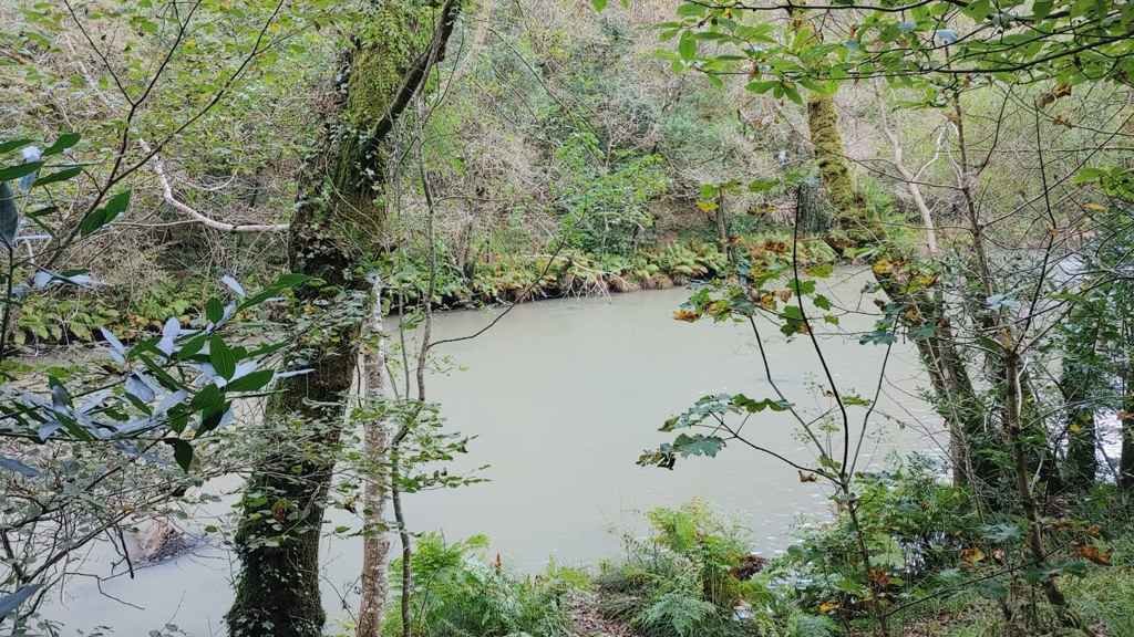 A Xunta investiga a orixe da turbidez das augas do Eume mentres a poboación de Pontedeume espera recuperar o consumo da billa (Iago Varela).
