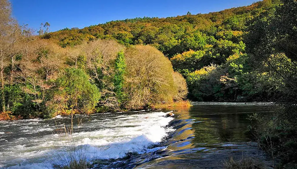 Devesa de Anllares (Foto de manuelgago.org)