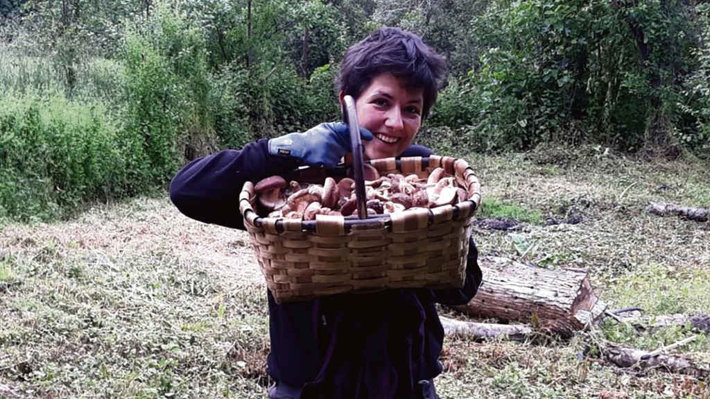 O cultivo de Beatriz Rey realízase en troncos de castiñeiro que se aproveitaron da poda (Siltake)