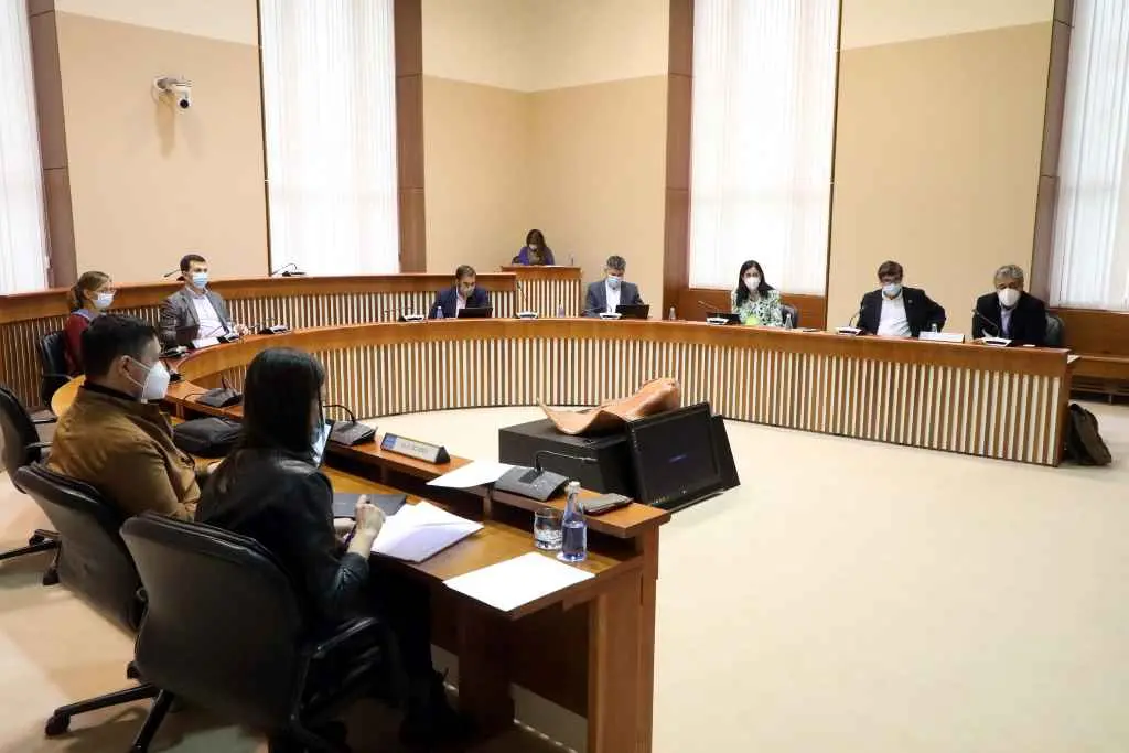 Terceira xornada de comparecencias na comisi&oacute;n de reactivaci&oacute;n do Parlamento (Foto: Arxina)
