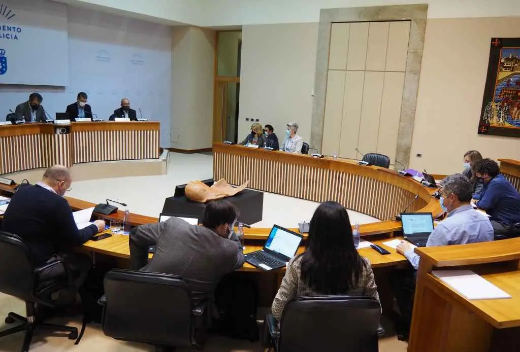 Manuel Mart&iacute;n, portavoz de SOS Sanidade P&uacute;blica, compareceu na comisi&oacute;n de reactivaci&oacute;n do Parlamento galego.