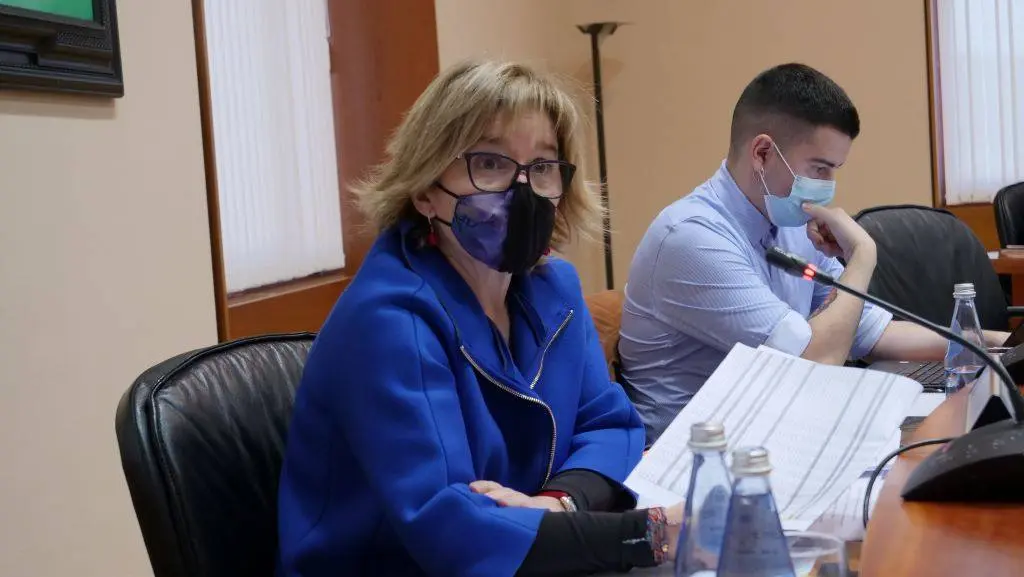 Montse Prado intervindo durante a comisi&oacute;n de Sanidade.(Foto: N&oacute;s Diario)