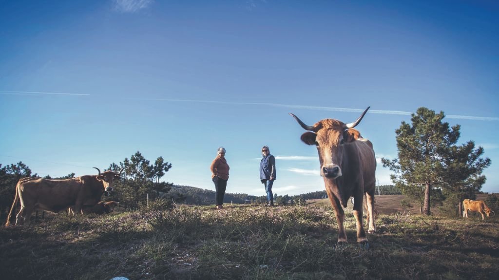 Comuneiras de Pinzás xunto coas vacas vienesas (Foto: Gustavo Rivas)
