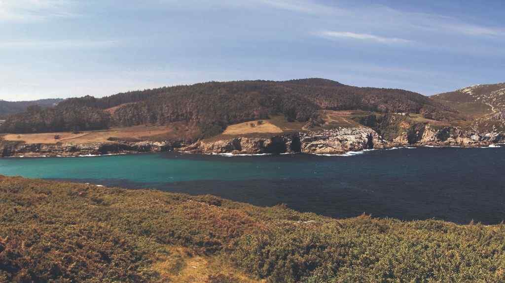 A costa entre Portocelo e a punta Roncadoira.(Foto: Colectivo Xea).