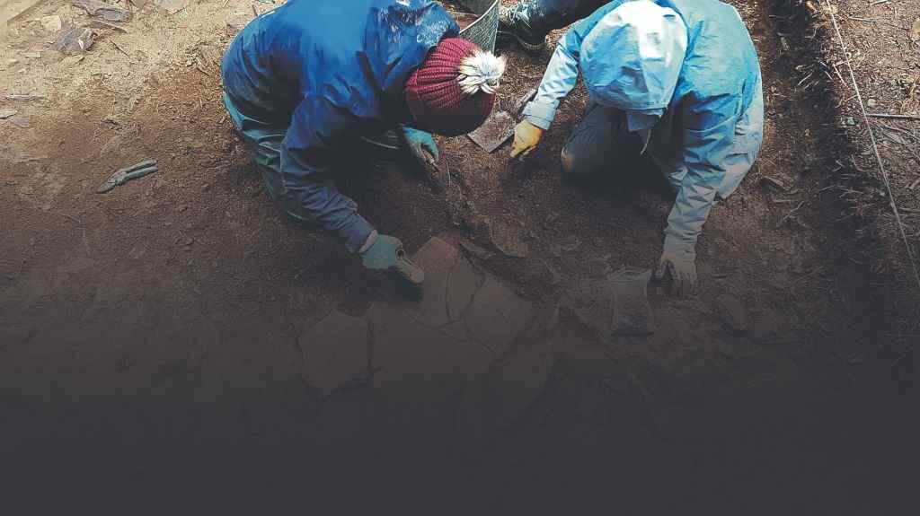 Dous arqueólogos traballando na primeira intervención do castro de Cerneda, en Abegondo. (Foto: CADO Arqueoloxía).