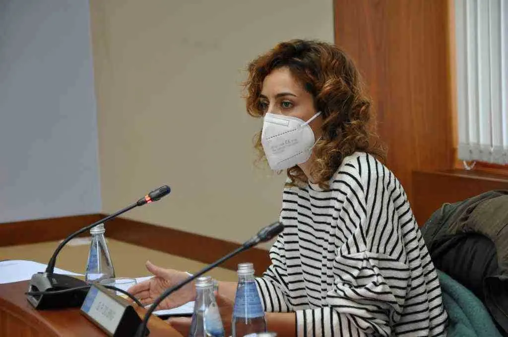 A parlamentaria do BNG, Alexandra Fern&aacute;ndez (Foto: N&oacute;s Diario)