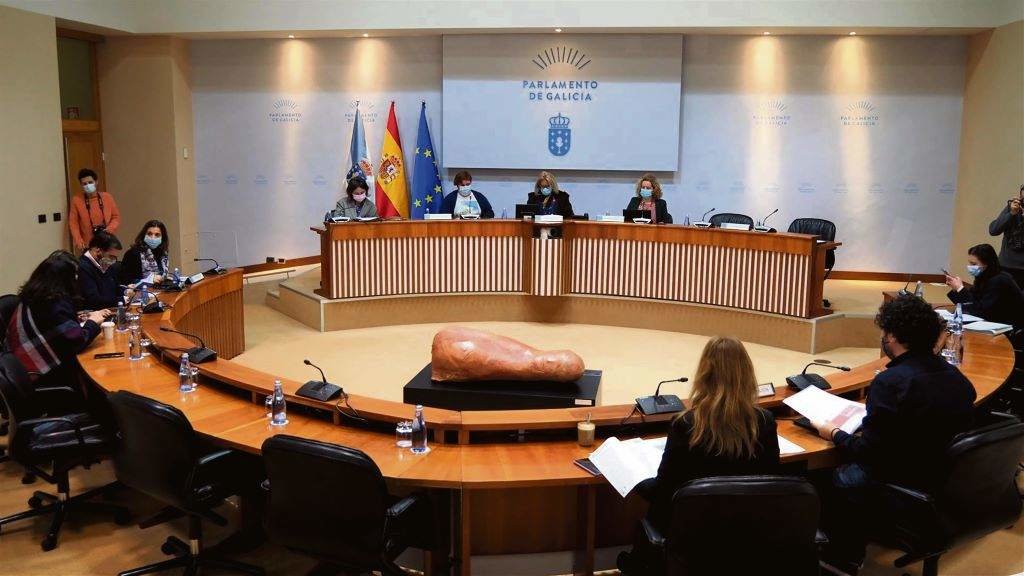 Hoxe decorreu no Hórreo a comisión parlamentar de Sanidade. (Foto: Parlamento da Galiza)