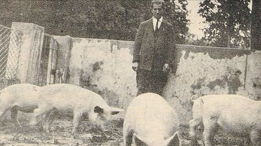 Manuel García Sampayo na sua granja de porcos em 1935. (Foto: Boletín del Sindicato de Productores de Semillas)