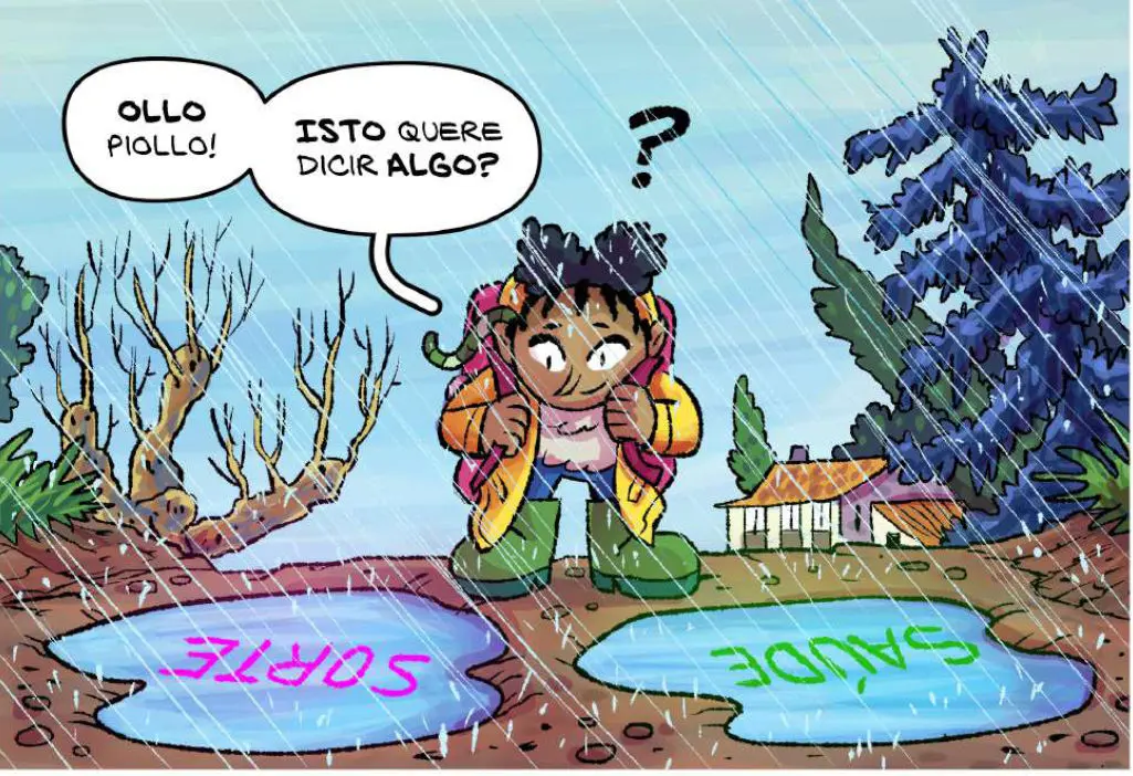 nerea banda dese&ntilde;ada