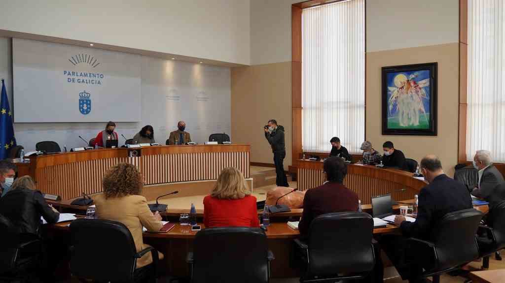 Comisión de Educación e Cultura da Cámara (Foto: Parlamento galego)