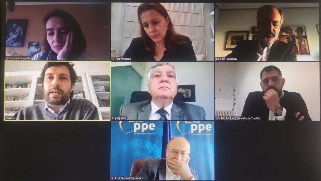 Un instante da reunión telemática entre as eurodeputadas. (Foto: Deputación de Pontevedra)