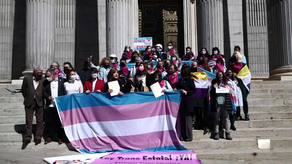 Membros de colectivos trans ap&oacute;s presentar unha proposta no Congreso. (Foto: Eduardo Parra / Europa Press)