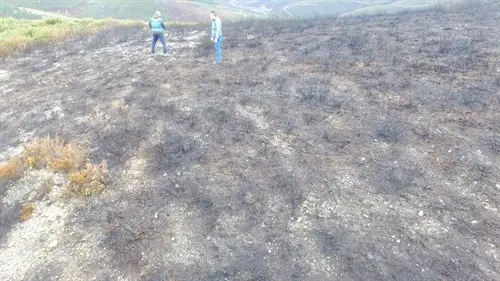 Arquivo Europa Press: Superficie afectada por un incendio forestal