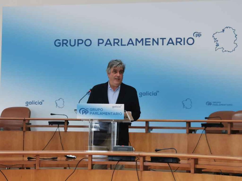 O portavoz do PP no Parlamento galego, Pedro Puy (Foto: Europa Press)