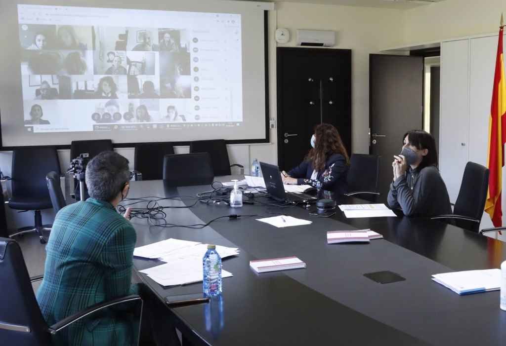Pleno do Consello Galego das Mulleres (Foto: Xunta da Galiza)