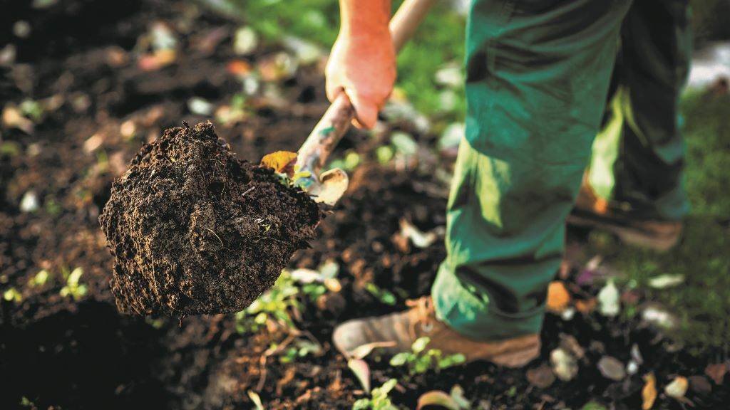 Durante o outono debemos fertilizar e reparar os terreos e bancais. (Foto: Adobestock)