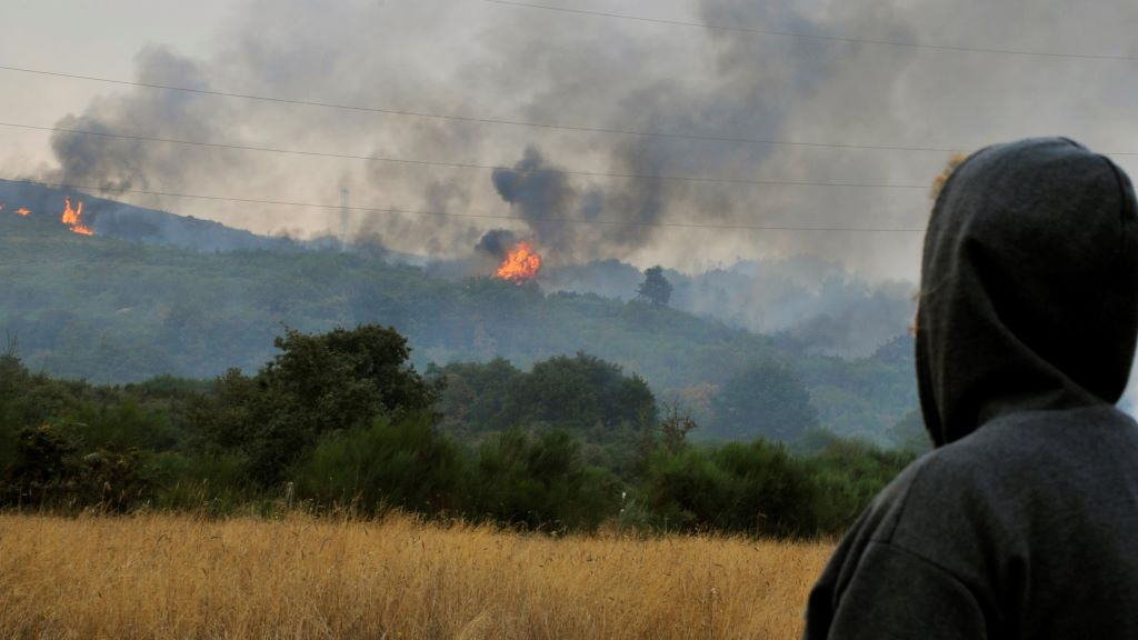 Imaxe de arquivo dun lume en Cualedro. (Foto: Rosa Veiga / Europa Press)