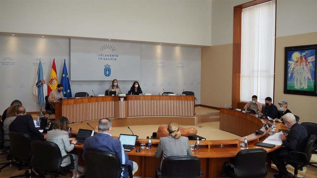 Comisión de Cultura desta sexta feira na Cámara. (Foto: Parlamento da Galiza)