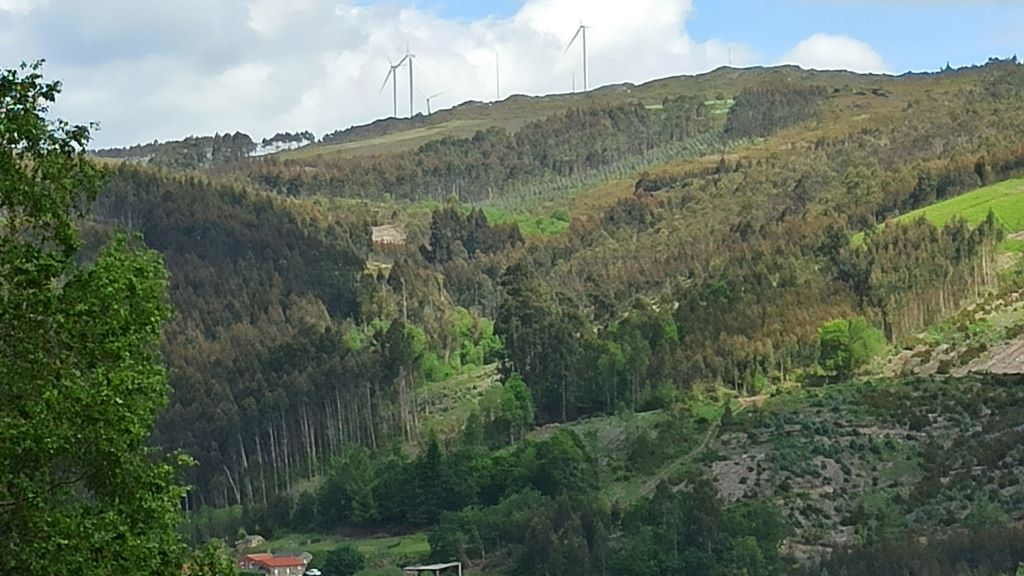 Varios eólicos no concello de Aranga. (Foto: Nós Diario)