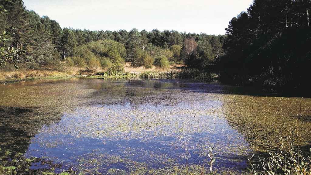 Lagoa do Monte Grande, un espazo de alto valor natural cuxa fauna e flora se verían afectadas (Foto: Reserva da Biosfera Gerês-Xurés).