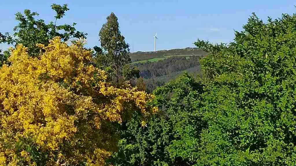 Un e&oacute;lico nun monte do interior do pa&iacute;s. (Foto: N&oacute;s Diario) #e&oacute;licos #parquee&oacute;lico #galiza #enerx&iacute;a