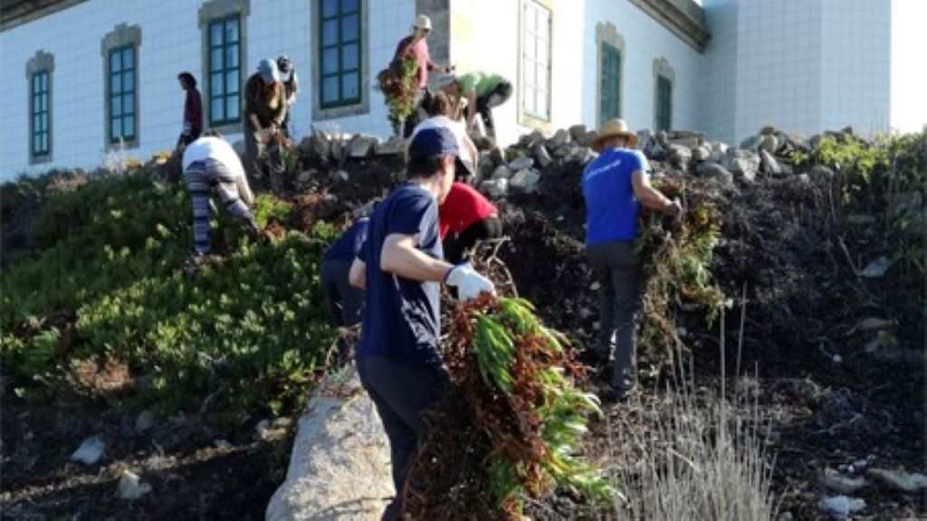 Unha campaña de voluntariado en Sálvora, nunha imaxe de arquivo. (Foto: Adega) #sálvora #verteduras #illa #adega